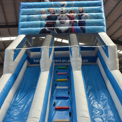 Impressão digital água inflável congelada Slide duplo N para entretenimento ao ar livre