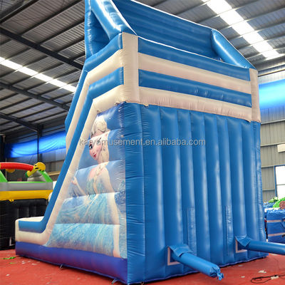 Impressão digital água inflável congelada Slide duplo N para entretenimento ao ar livre