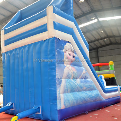 Impressão digital água inflável congelada Slide duplo N para entretenimento ao ar livre