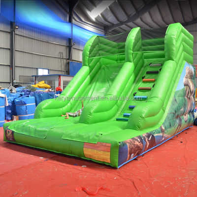 Capacidade máxima 100-500 kg Parque aquático inflável de pequeno deslizamento para entretenimento infantil