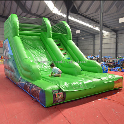 Capacidade máxima 100-500 kg Parque aquático inflável de pequeno deslizamento para entretenimento infantil