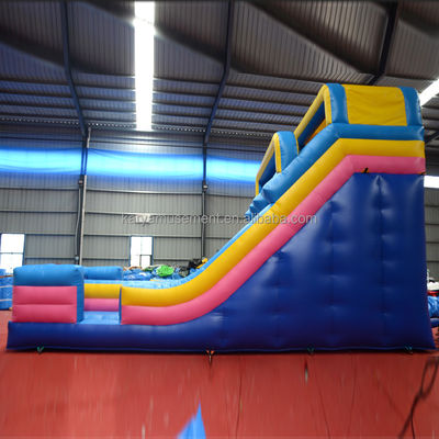 Impressão digital de qualidade comercial de PVC Parque aquático 2 pistas escorrega de água para adultos e crianças