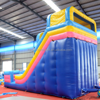 Impressão digital de qualidade comercial de PVC Parque aquático 2 pistas escorrega de água para adultos e crianças