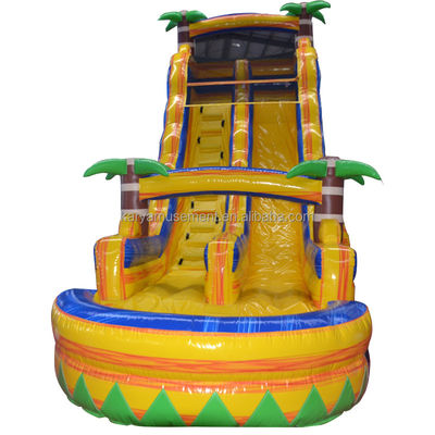Certificado de cor personalizado CE/EN71/EN14960 Slide de salto de água inflável com piscina