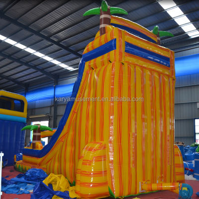 Certificado de cor personalizado CE/EN71/EN14960 Slide de salto de água inflável com piscina
