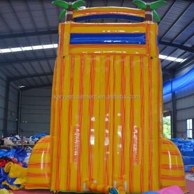 Certificado de cor personalizado CE/EN71/EN14960 Slide de salto de água inflável com piscina