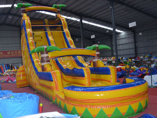 Certificado de cor personalizado CE/EN71/EN14960 Slide de salto de água inflável com piscina
