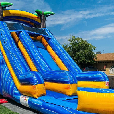 Capacidade máxima 100-500 kg Árvore de palma adulta Parque aquático inflável Equipamento com piscina