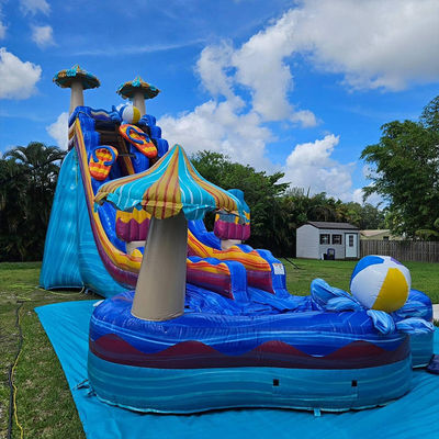 Estimulantes Jogos de Slides de Água de Cor do Oceano PVC Inflável com Grande Piscina em Forma de Flor