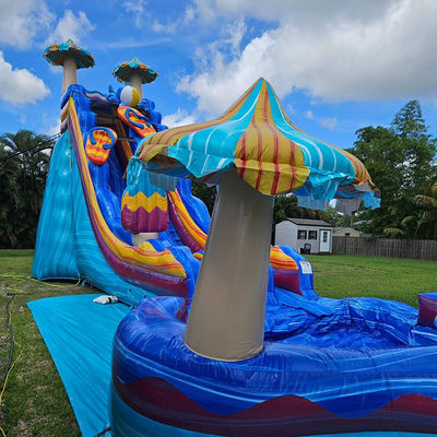 Estimulantes Jogos de Slides de Água de Cor do Oceano PVC Inflável com Grande Piscina em Forma de Flor