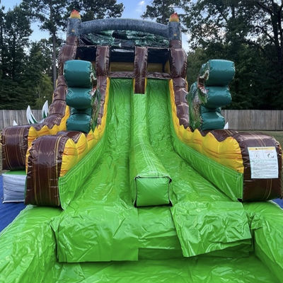 Liberte a sua imaginação Floresta tropical Dino Slide aquático com piscina divertida