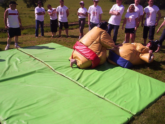 Jogo de Carnaval Adultos Essenciais Trajes de Sumo do Homem-Aranha Inflável para Parque de Jogos ao Ar Livre