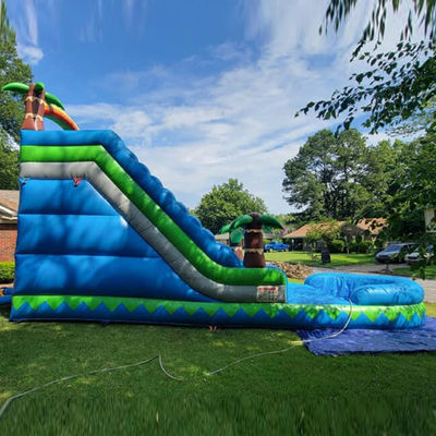 CE/EN71/EN14960 Certificado Parque aquático ao ar livre de 30 pés Deslizamento aquático de palmeira tropical azul para 5-10 passageiros