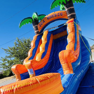 Aluguel comercial personalizável Parque aquático inflável de PVC com escorrega de água de palmeira