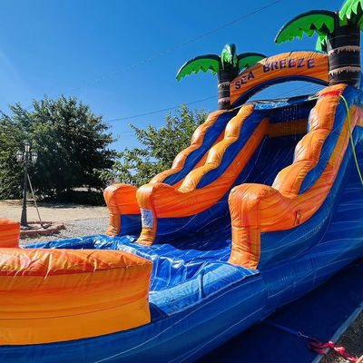 Aluguel comercial personalizável Parque aquático inflável de PVC com escorrega de água de palmeira