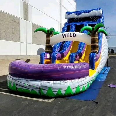Piscina grande Slide infantil de salto Festa de casa Palmeiras tropicais comerciais Slide de água com dois deslizamentos