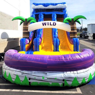 Piscina grande Slide infantil de salto Festa de casa Palmeiras tropicais comerciais Slide de água com dois deslizamentos