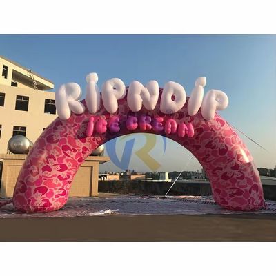 Eventos de empresa personalizados Arco inflável ao ar livre com publicidade com tema de golfinho