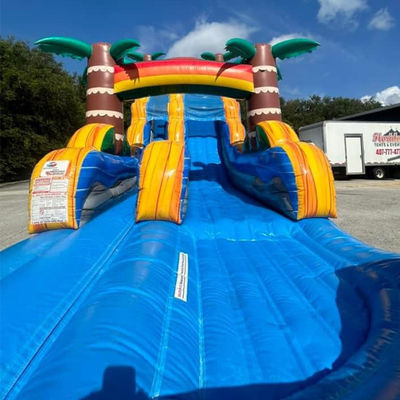 Embarque Feito Fácil Comercial PVC Tropical Palmeira Slide de Água Inflável com piscina