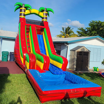 Slide de água de palmeira tropical de PVC com piscina desmontável e impressão digital