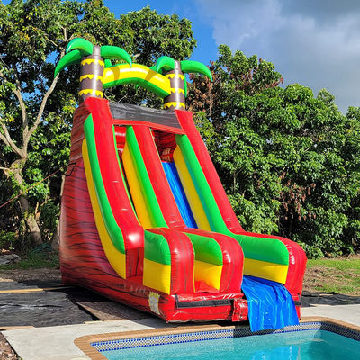Slide de água de palmeira tropical de PVC com piscina desmontável e impressão digital
