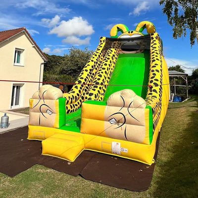 Impressão digital Leopardo amarelo Impressão inflável de salto de água para crianças e adultos