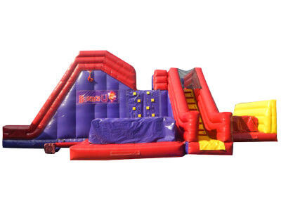 Unisex Jardim Familiar Inflável Slide Game CE Blower e Acessórios de Reparação Incluídos