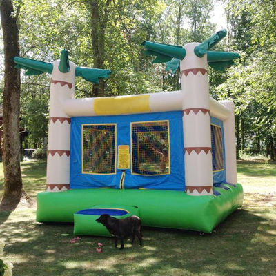 14 Anos para cima Cor Personalizada Palmeira Tropical Bouncy Kids Bouncing Castelo para alugar