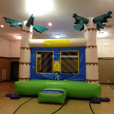 14 Anos para cima Cor Personalizada Palmeira Tropical Bouncy Kids Bouncing Castelo para alugar