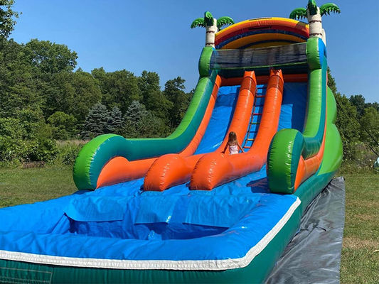 Capacidade máxima 100-500 kg Parque aquático inflável de duas pistas com piscina e escorrega de palmeiras