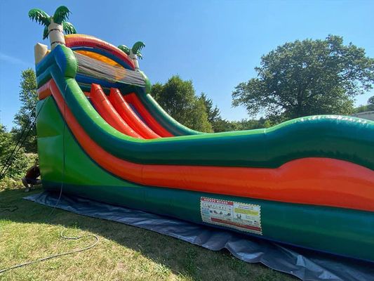Capacidade máxima 100-500 kg Parque aquático inflável de duas pistas com piscina e escorrega de palmeiras