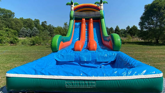 Capacidade máxima 100-500 kg Parque aquático inflável de duas pistas com piscina e escorrega de palmeiras