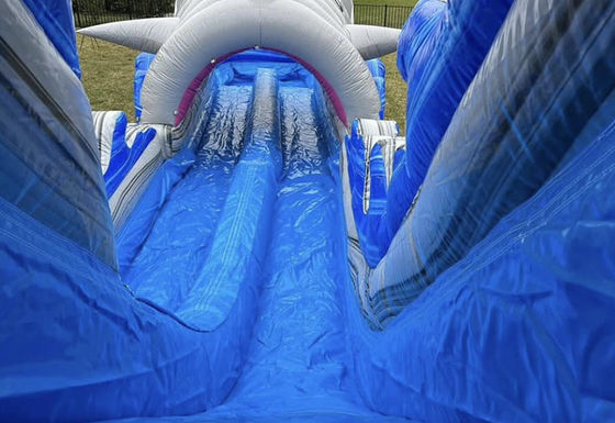 Tamanho personalizado Slide de água inflável com Slide de tubarão grande e piscina