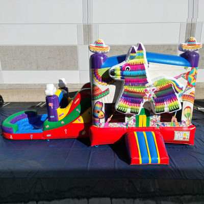 PORTABLE PVC Rainbow Puppy inflável casa de salto com deslizamento combo piscina saltadores castelo