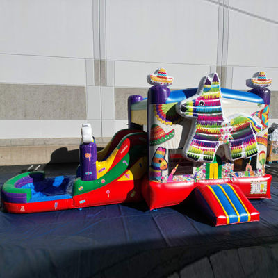 PORTABLE PVC Rainbow Puppy inflável casa de salto com deslizamento combo piscina saltadores castelo