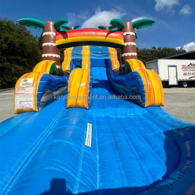 Popular Blue Slide para diversão multiplayer no Family Park com Blower e Palm Tree Design