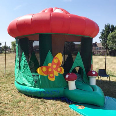 Pequena casa comercial de cogumelos de PVC castelo casa de salto inflável há 14 anos