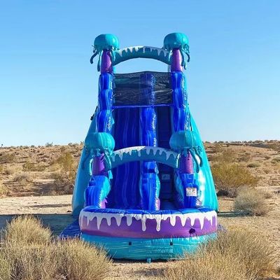Equipamento de diversão de parque ao ar livre Slide de água inflável colorido de 36 pés com piscina