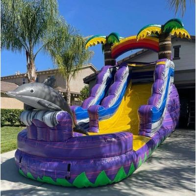 Item Personalizado Cor Inflavel Bouncer Slide com piscina Slide de água de grau comercial