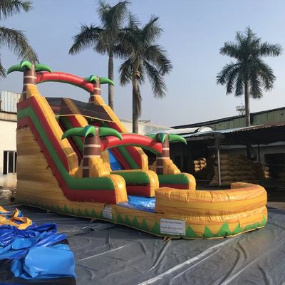 Slide seco de saltos aéreos de faixa dupla Design inflável colorido para tamanhos opcionais do parque