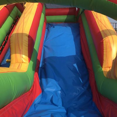 Ocasião comercial Dimensão personalizada Árvore de palma inflável Slide único largo com piscina