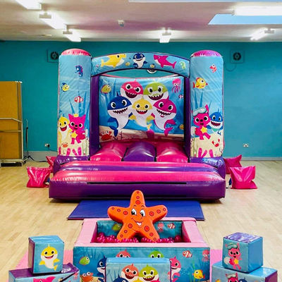 14 Anos de idade, Castelo de Trampolim Mini Inflavel Personalizado com Slide de Cor Personalizada