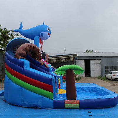 Cor personalizada Popular Pequeno Tubarão Slide de água inflável com piscina