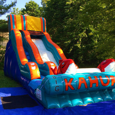Tamanho personalizado Slide de salto inflável Slide de ar seco e de água para aventuras ao ar livre