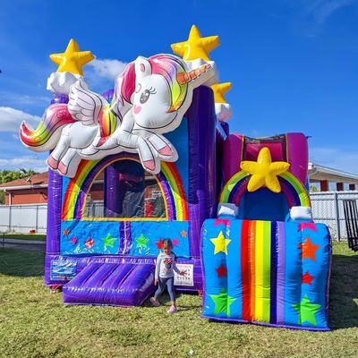 Tamanho personalizado PORTABLE Casa Jardim Castelo de salto para jogos internos e externos