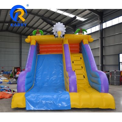 Tamanho personalizado Entretenimento ao ar livre Corvo zangado Slides infláveis de água para crianças brincar