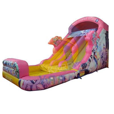 Blower CE e acessórios de reparação incluídos Princesa de Fadas Slide de água inflável