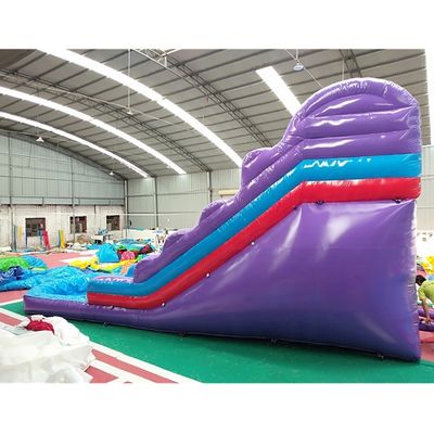 Entretenimento ao ar livre Slide de castelo inflável personalizado para entretenimento
