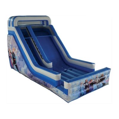 Entretenimento ao ar livre Slide de castelo inflável personalizado para entretenimento