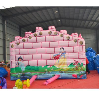 Chameleon Bounce House e Pink Inflatable Slide para Unisex Trampoline Jump Castle